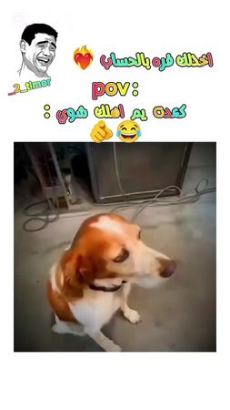 #ههه #تحشيش #اكسبلورر #ضحك #تحشيش 