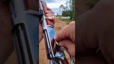 Rossi Puma SS (Stainless Steel) .357 Magnum/.38 special 20 inch barrel with a holosun 515cm red dot