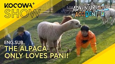 The Alpaca Only Loves Pani Bottle 🦙💕 | Adventure By Accident 4 EP06 | KOCOWA+