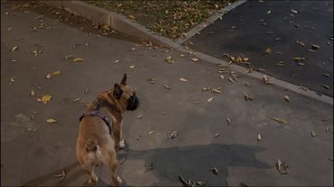 немного размышлений по пути с работы домой