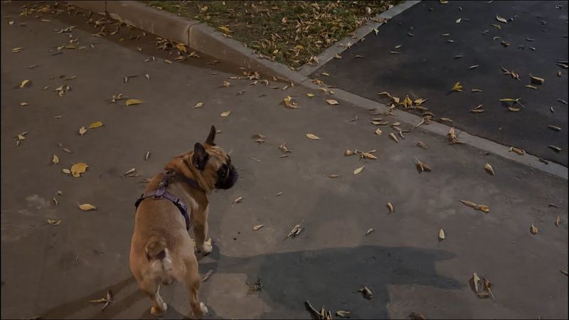 немного размышлений по пути с работы домой