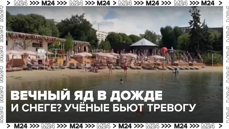 ☔ Вечный яд в дожде и снеге? Учёные бьют тревогу