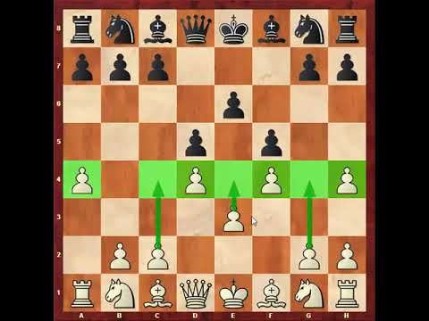 222 . وسط بازی در شطرنج - ترم 14 ( قسمت 10 )