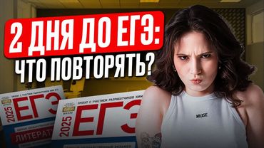 Алгоритм ПОДГОТОВКИ к ЕГЭ по литературе за 48 ЧАСОВ / Как выучить ВСЁ за 2 дня до ЕГЭ по литре 2025?