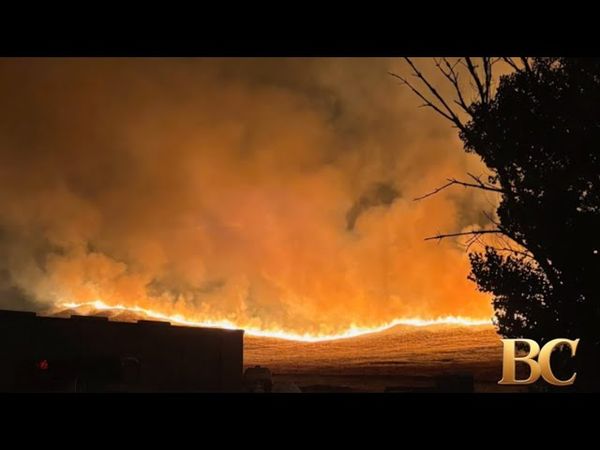 Madre Fire explodes in size to become California’s biggest this year