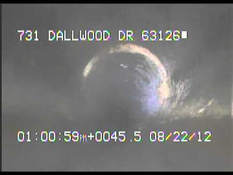 731 Dallwood Dr 63126