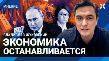 ЖУКОВСКИЙ: Экономика останавливается. Рекордные цены на бензин. Инфляция вырастет осенью