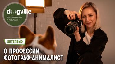 Фотограф-анималист — О профессии