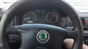 Шкода Октавия 1.6 AKL. Глохнет и не заводится. 409 реле.