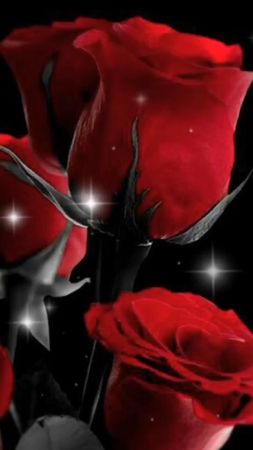 #добрыйвечер #спокойнойночи