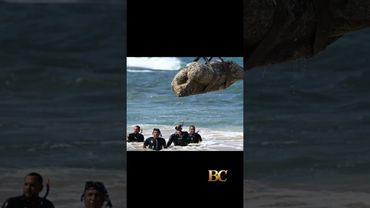 Remnants of 2,000-year-old sunken city lifted out of the sea off Alexandria