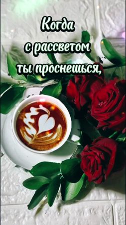 #доброеутродрузья