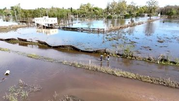 Сельское хозяйство Аргентины страдает из-за сильных дождей