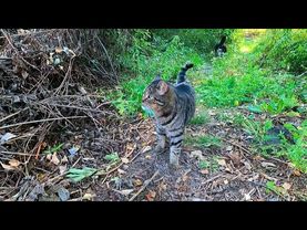 #Славянск. 16 сентября 2025г. Вечер.