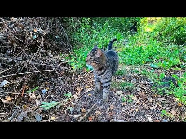 #Славянск. 16 сентября 2025г. Вечер.