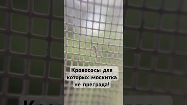 Материал подготовлен при поддержке гранта Минобрнауки России в рамках Десятилетия науки и технологий