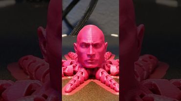3D Printed The Rocktopus