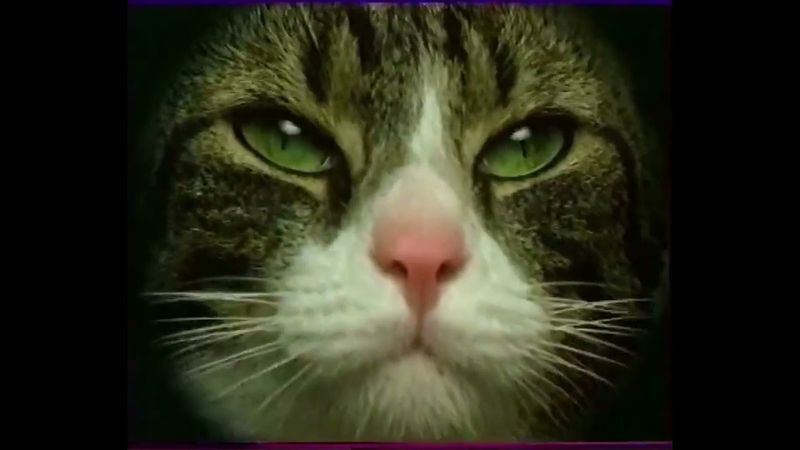 Рекламный блок (ОРТ, 25.07.2000) (2)