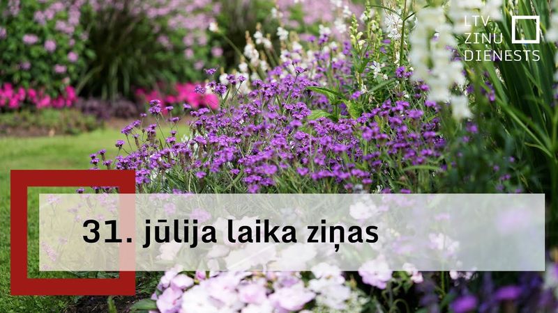 31. jūlija laika ziņas