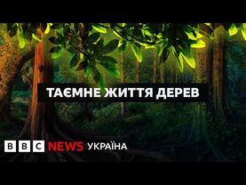 Таємниці народження, спілкування і розмноження дерев І Документальний фільм BBC
