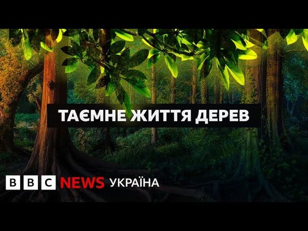 Таємниці народження, спілкування і розмноження дерев І Документальний фільм BBC