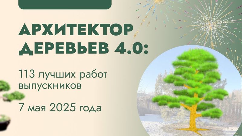 Обзор квалификационных работ курса "Архитектор Деревьев 4.0"