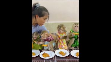 5 августа 2024 г.