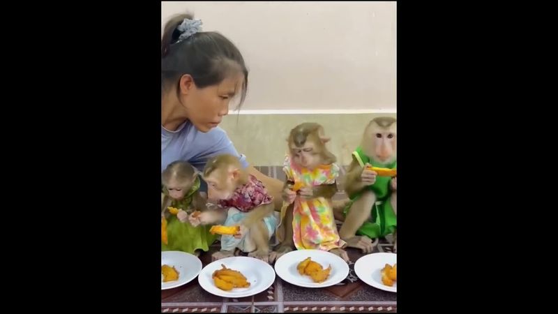 5 августа 2024 г.