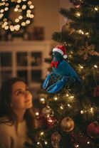 #fyp #brainrot #bluelobster #ai #pixverse 