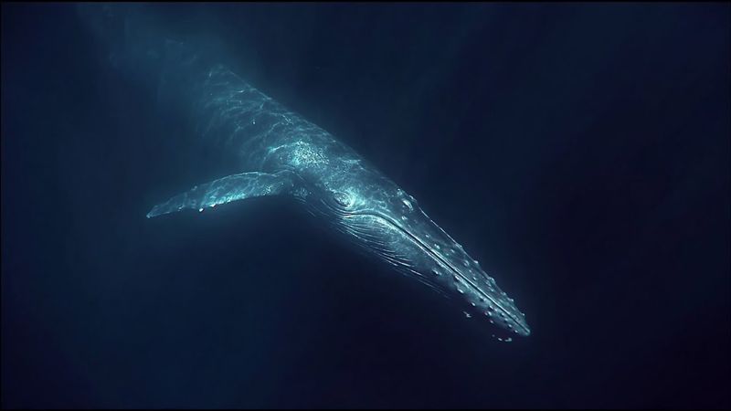 Submarine Video Log｜潜水艦映像記録