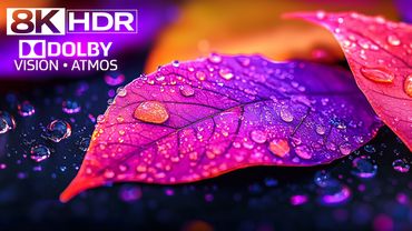 EXPLOSIVE 8K HDR ULTRA HD COLORS – Dolby Vision™ & Dolby Atmos (For 4K/8K TV)