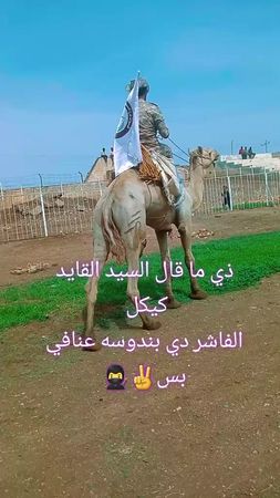 TikTok video #7537628606571269432