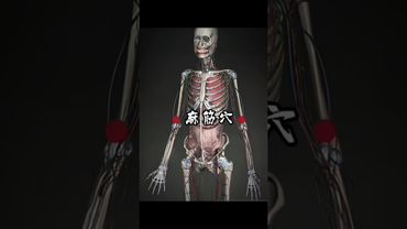 Is Pressure Point Martial Arts Real?