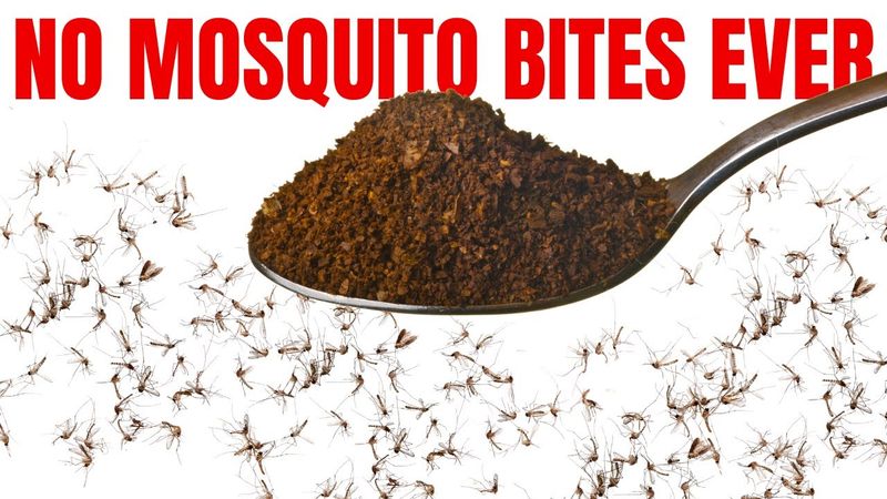 Best Method To STOP Mosquito Bites | GUARANTEED TO WORK
