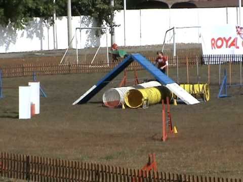 шелти Адреналина ,финал (ЧР РЛК)