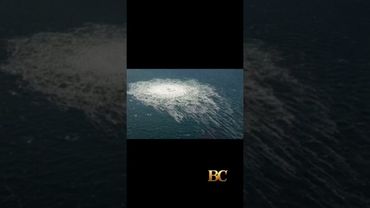 Ukrainian held in Italy over Nord Stream gas pipelines blast