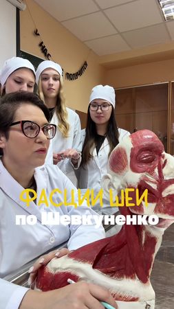 Мой тг anatomi44ka #анатомия #медицина #медики #студенты #anatomy 