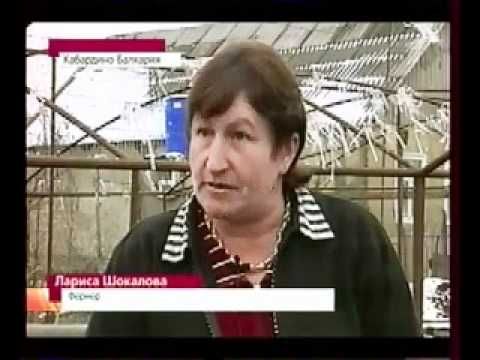 Малый бизнес.