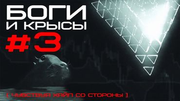 Эгрегор на примере разума стаи. Межвидовые столкновения на астральном уровне | БОГИ И КРЫСЫ