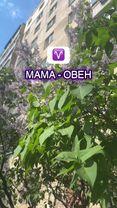 Мама-Овен — как ураган с объятиями: всегда впереди, всегда за ребёнка...