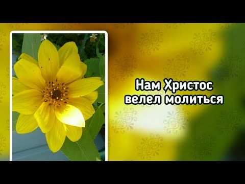 Нам Христос велел молиться (+)