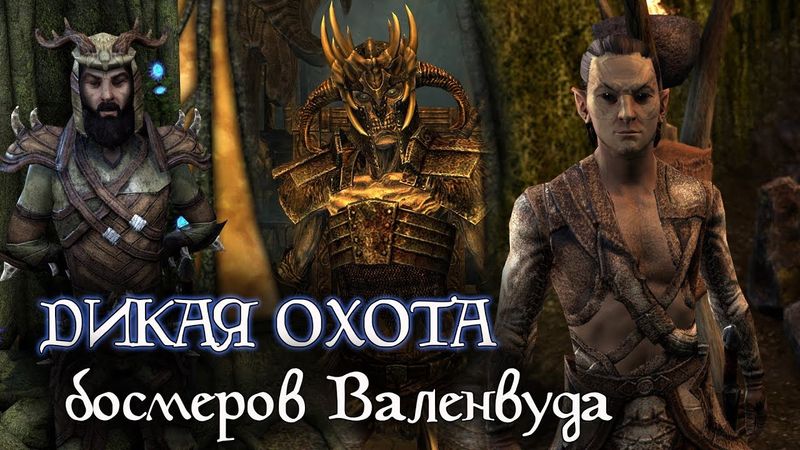 Дикая Охота босмеров Валенвуда | The Elder Scrolls Лор
