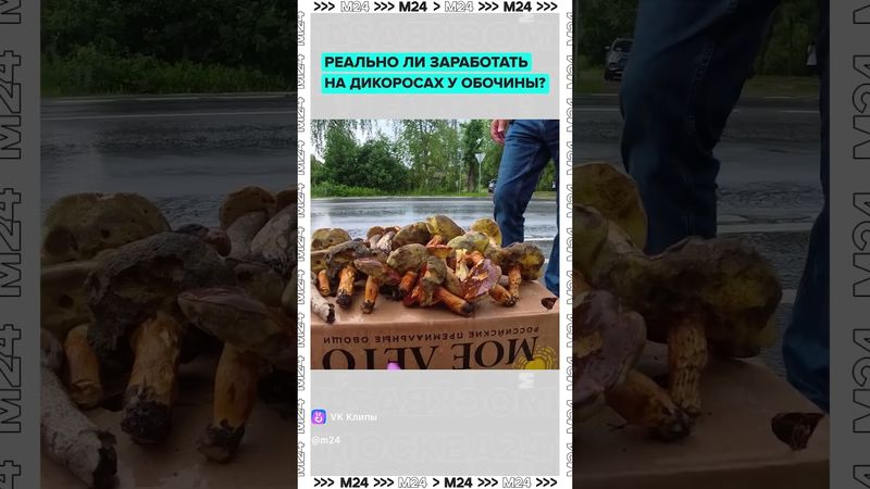 Сколько стоит собрать грибы у обочины?