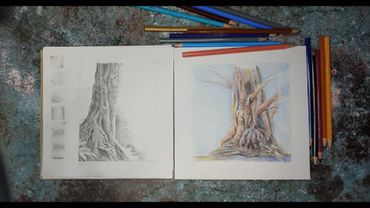 Графика цветными карандашами  Дерево