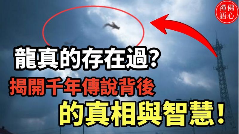 龍真的存在過？揭開千年傳說背後的真相與智慧！#正能量 #龍的傳說 #生肖文化 #傳統智慧 #民間故事 #打破認知 #老祖宗的智慧 #怪談揭秘 #文化探索