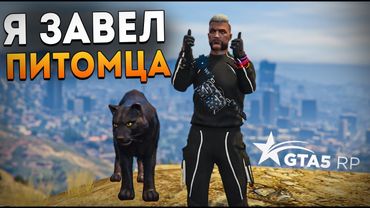 Я ЗАВЁЛ ПИТОМЦА В ГТА 5 РП. ГЛОБАЛЬНАЯ ОБНОВА - ЖИВОТНЫЕ в GTA5RP