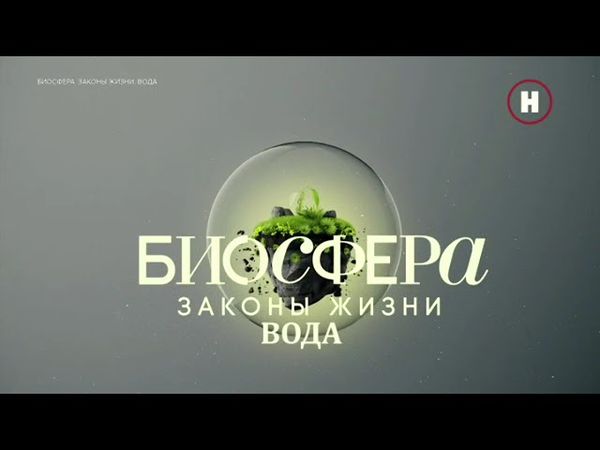 Фрагмент эфира (Наука, 21.08.2025)