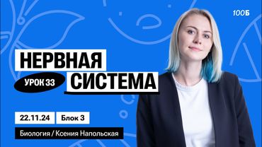 Нервная система | Биофак 2025 | Урок 33
