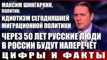 Максим Шингаркин, политик: идиотизм сегодняшней миграционной политики