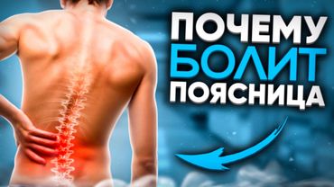Всё про БОЛЬ В ПОЯСНИЦЕ | Протрузии, грыжи, нарушения осанки и упражнения, которые Вам НЕ помогут